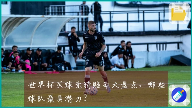 世界杯买球竞猜赔率大盘点，哪些球队最具潜力？