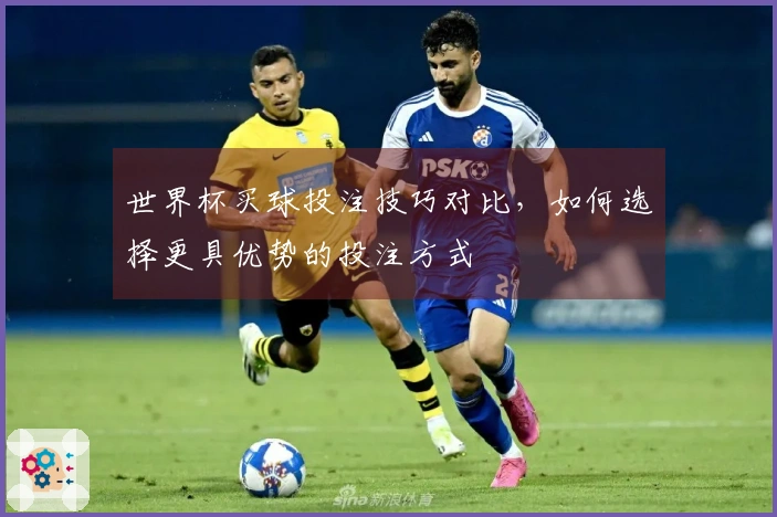 世界杯买球投注技巧对比，如何选择更具优势的投注方式