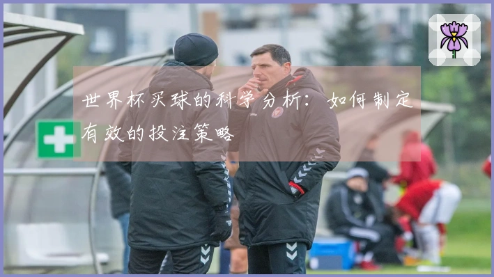 世界杯买球的科学分析：如何制定有效的投注策略