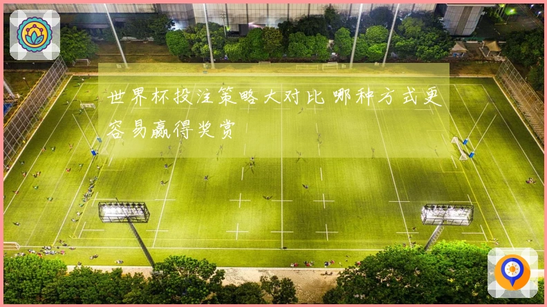 世界杯投注策略大对比 哪种方式更容易赢得奖赏