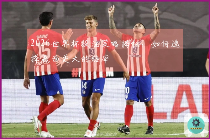 2026世界杯投注策略揭秘，如何选择赢面更大的赔率