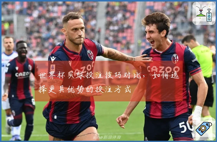 世界杯买球投注技巧对比，如何选择更具优势的投注方式